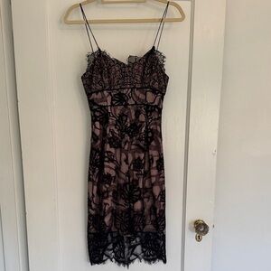 Stylestalker Black and Cream Lace Dress